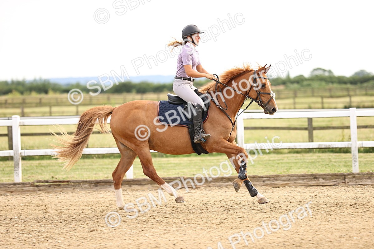 SBM_002643 - Class 19 - Nupafeed Supplements Senior Discovery - 1.00m