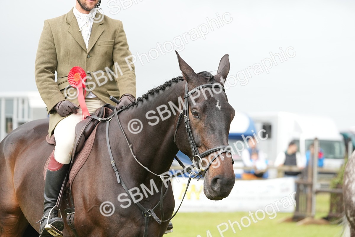 SBM_12796 - Class 97-98 - LIHS BSHA Rising Star Working Show Horse Hunter