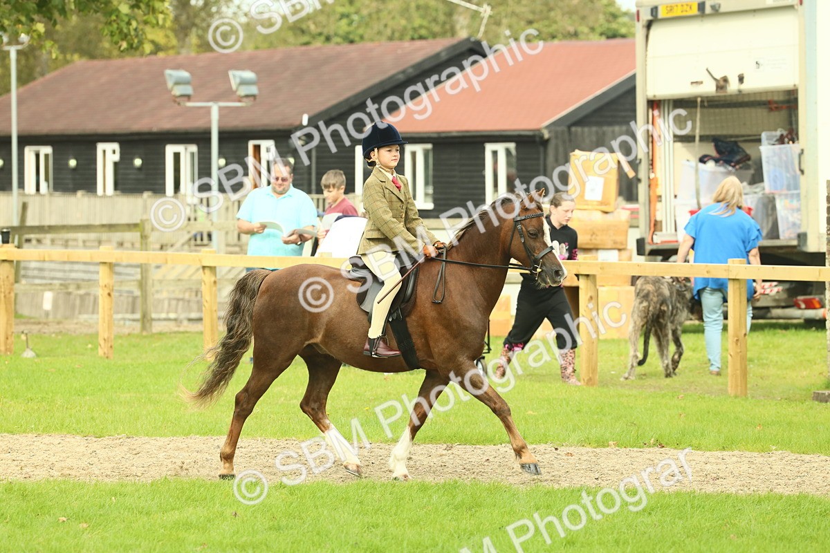 SBM_69894 - S59 - Mountain & Moorland Ridden Small Breeds