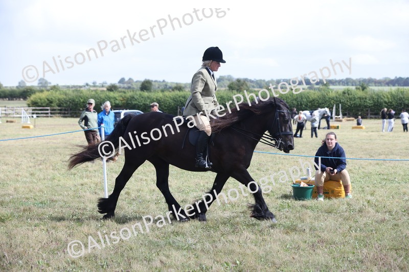 20250831-2917 - Class 19 - Mountain and Moorland