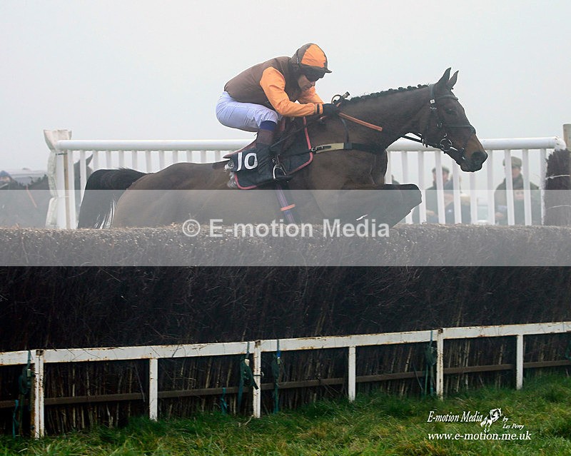 PtP 191221 499aB - Equestrian