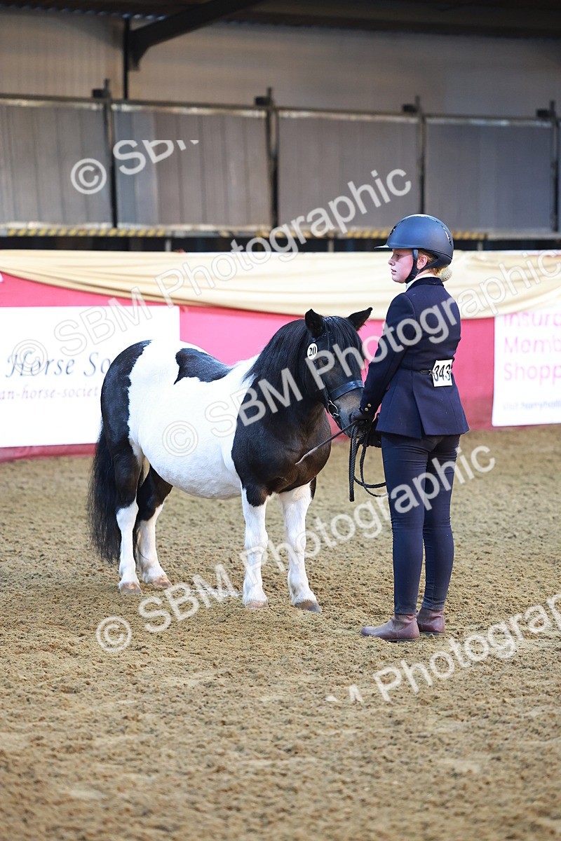 SBM_14717 - Class B - Junior Champ 11 to 16 Years