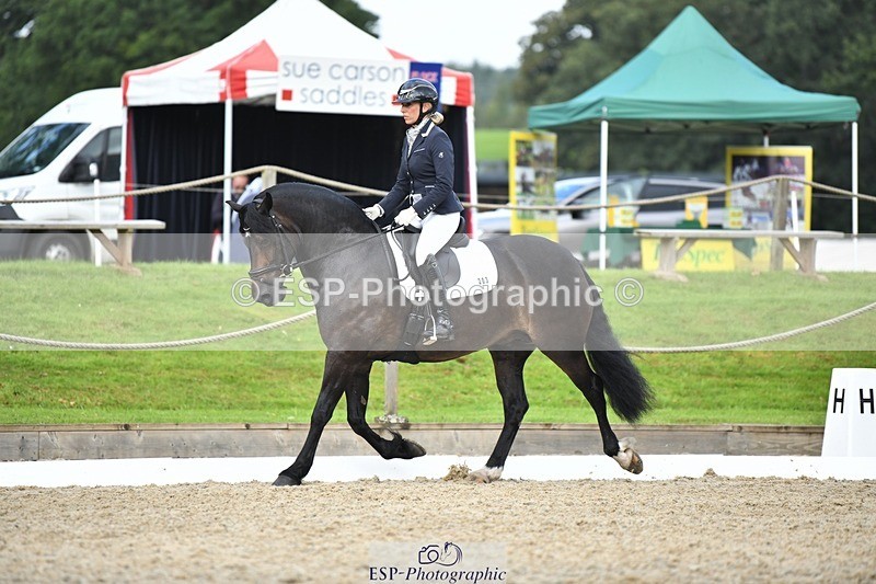 230812-105212-03481 - Cls 6 Novice Silver 10.30 to 11.55 break