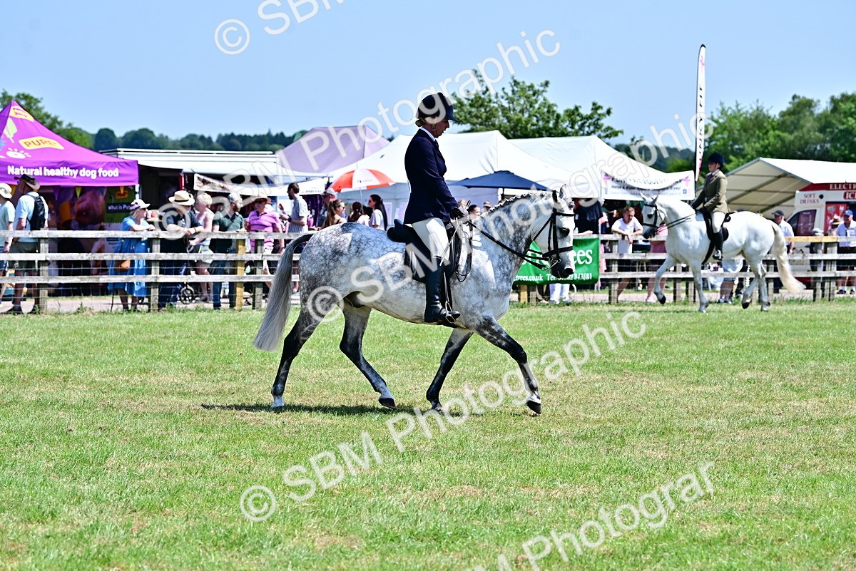 SBM_17417 - Class 95-97 - BSPS LHS Performance Ponies