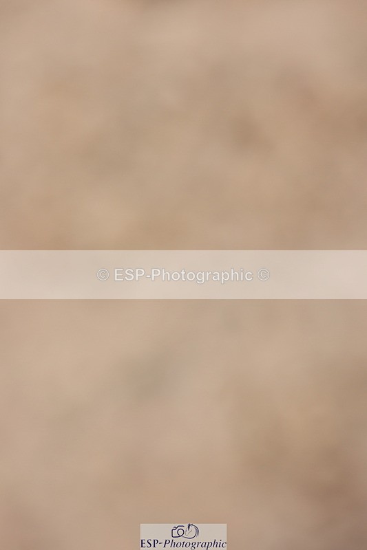 240223A-094012-00382 - Cls 2 British Novice and 90cm Open