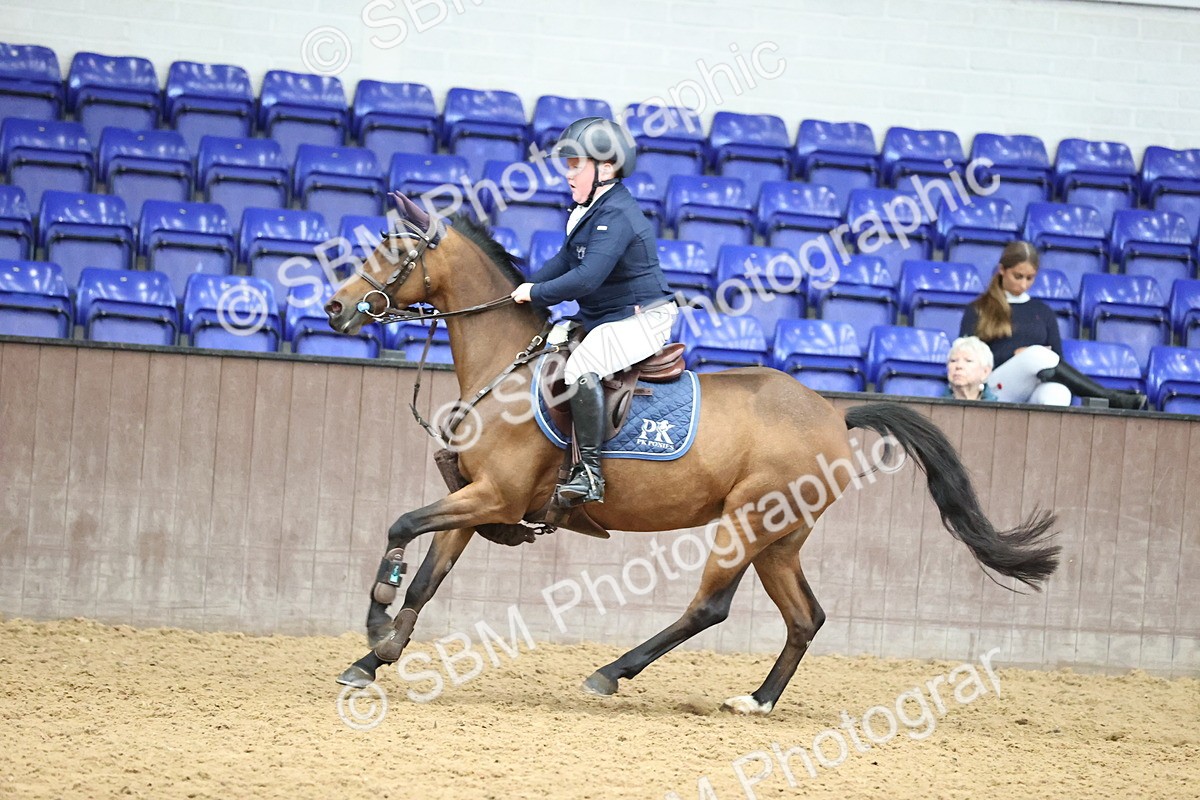 SBM_001237 - Class 3 - Springboard 128cm 138cm Restricted handicap 85cm 95cm