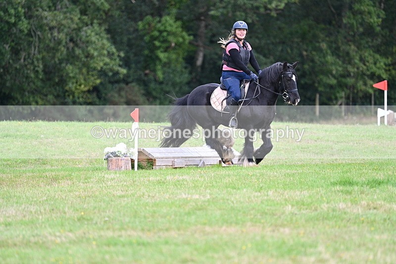 WJ7_7918 - 40cm Time 10:49 to 11:18