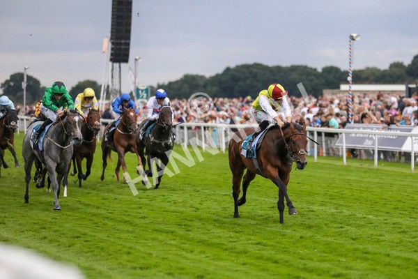 280723-Race 7-Knebworth-3013 - Race 7 8.20pm Sky Bet Go-Racing-In-Yorkshire Summer Festival Handicap