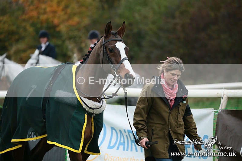 PtP 091124  291 - Knightwick Races Point-to-Point 09/11/24