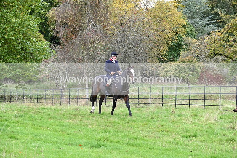 WJ6_0087 - Camera 2 Meet