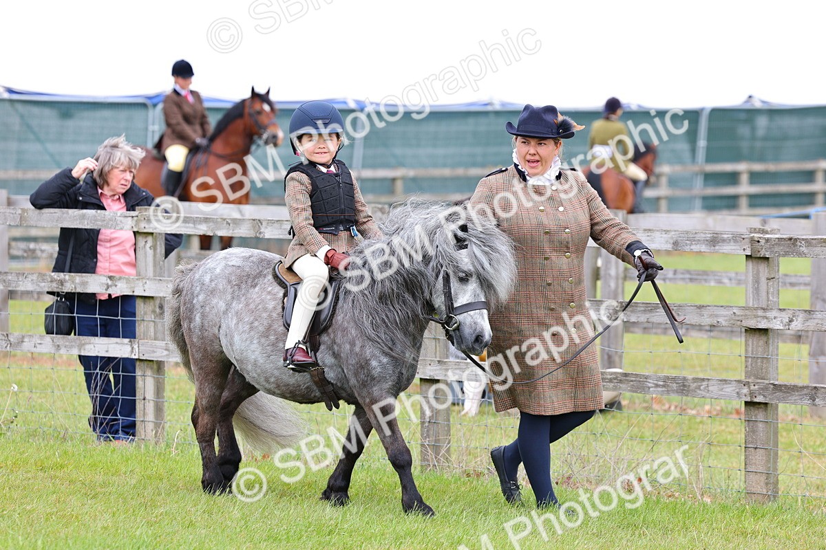 SBM_08079 - Class 42-43 - LIHS BSPS Heritage Working Sports Pony