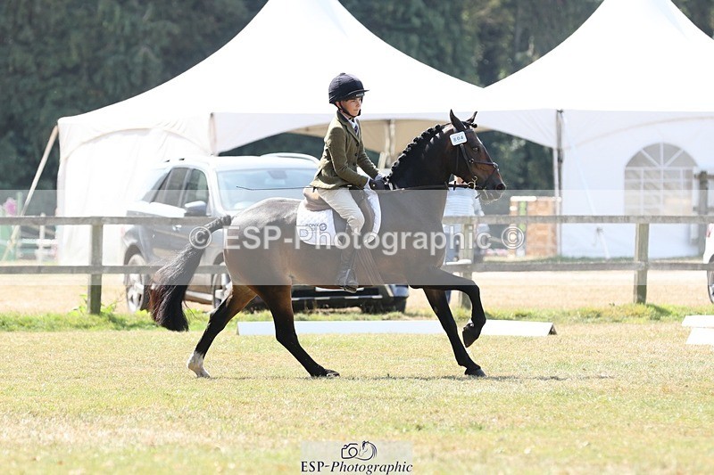 250823A-123412-29830 - Arena C
