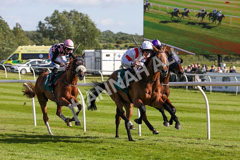 080624-Race 7-Starshine Legend-5106 - Race 7