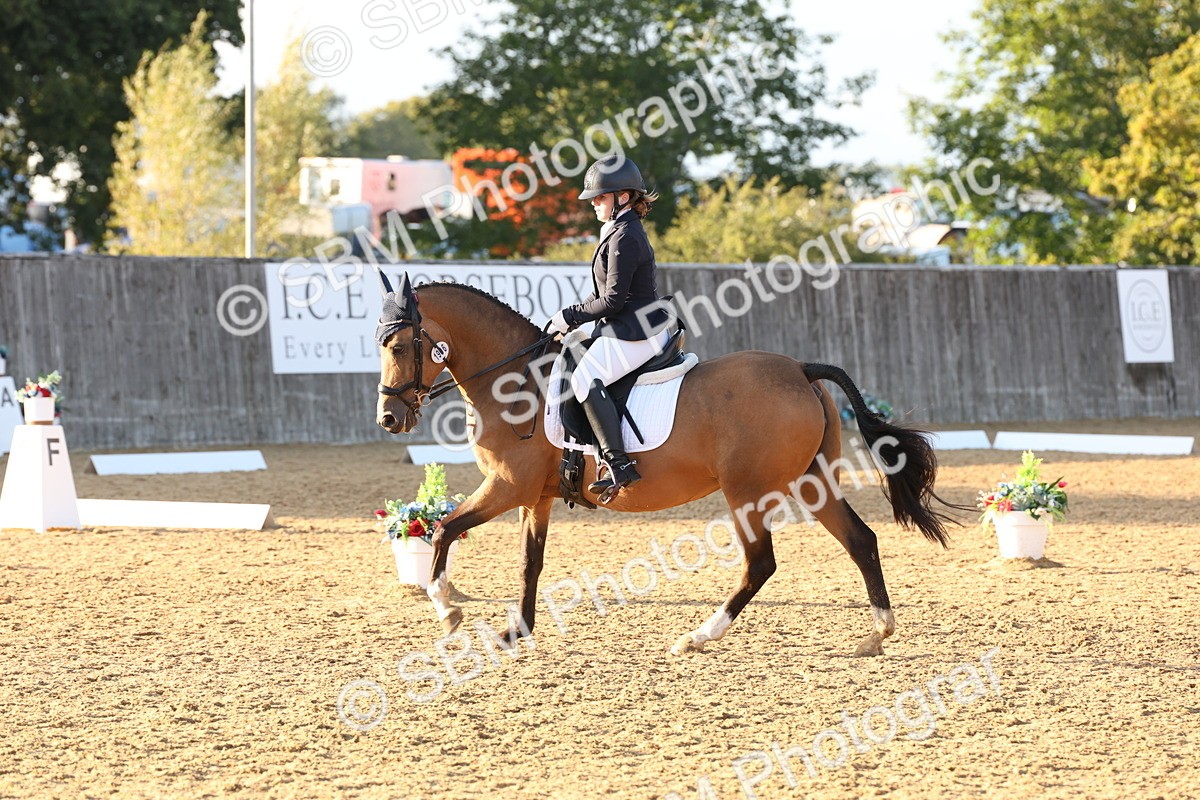 SBM_52917 - D12 - Small Tour Championship prelim 2