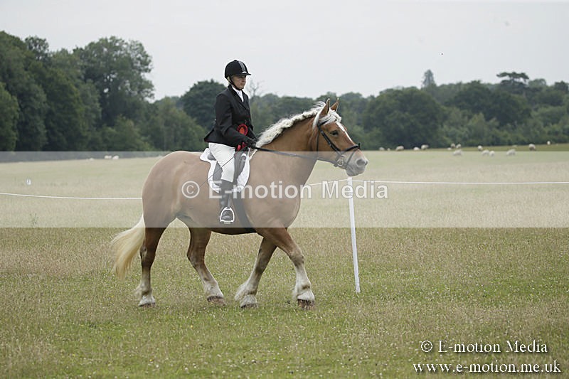 B230619-0930 - Bourne Valley Riding Club Summer Show 23/06/19