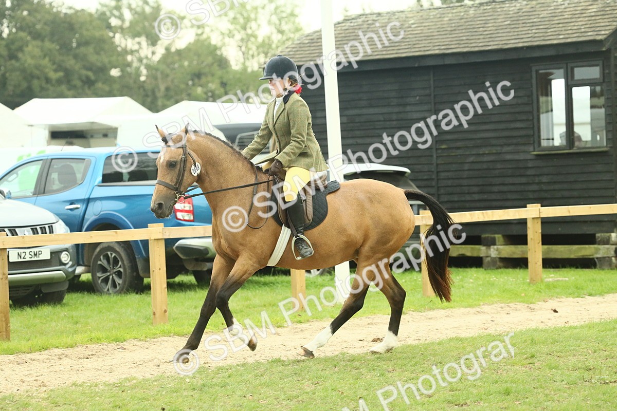 SBM_73971 - S 61 - Show Pony & Show Hunter Pony Ridden