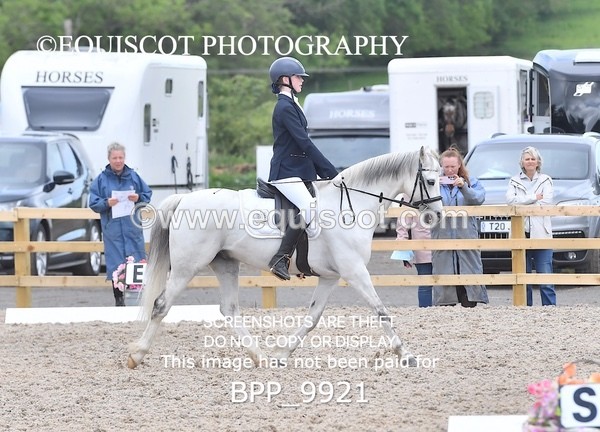 BPP_9921 - SHORT ARENA  MY QUEST PRELIM