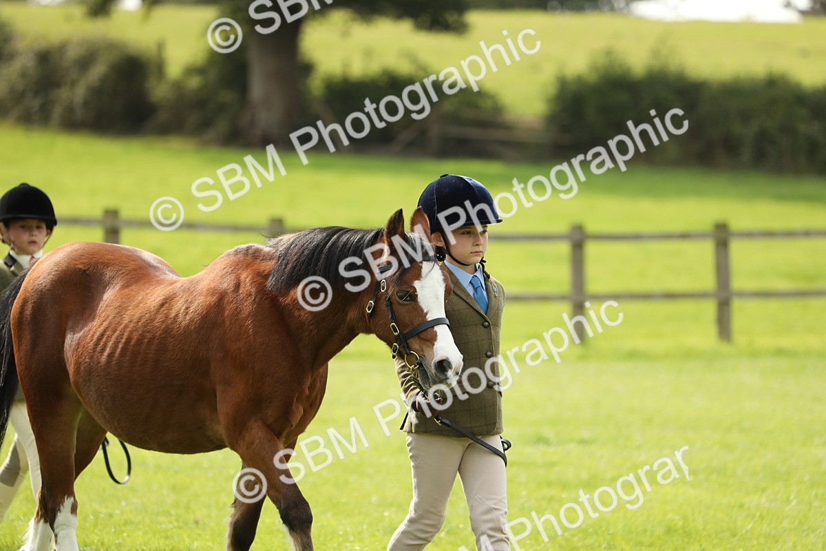 SBM_67696 - S39 - Junior Handler 8  Years & Under