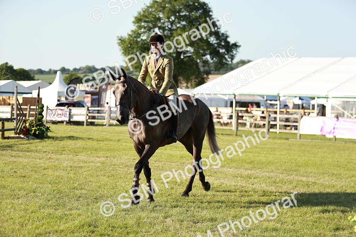 SBM_20158 - Class 117-119 - Sport Horse Working Hunter