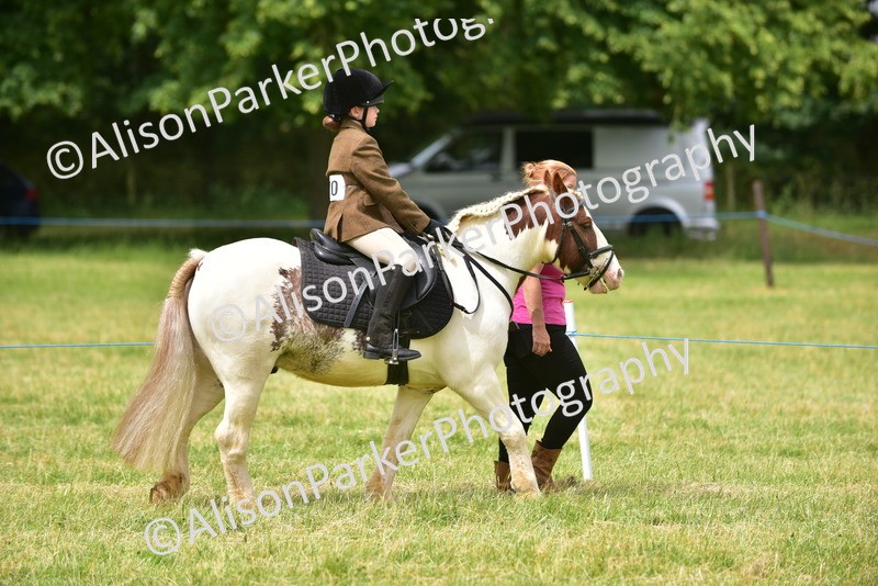 20260614-4185 - Class 17 - Best Mane and Tail
