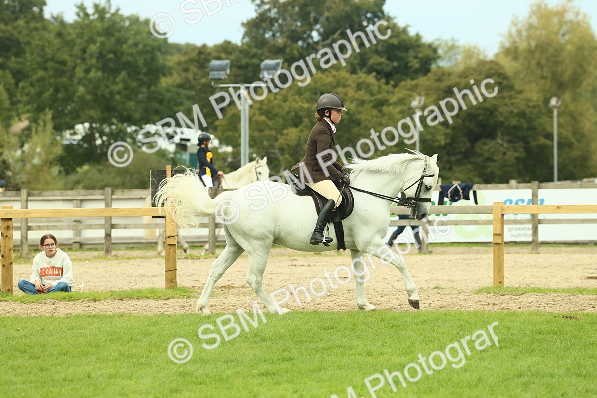 SBM_71976 - S60 - Mountain & Moorland Ridden Large Breeds