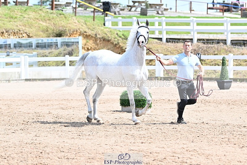 240717A-151755-02730 - Trot Up 3pm to 4pm