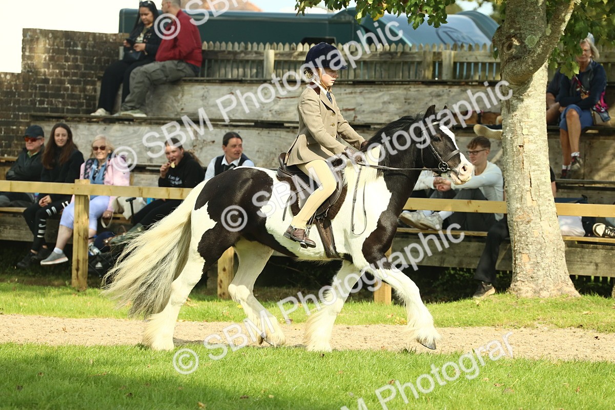 SBM_68902 - S58 - Mini Show Cob Ridden