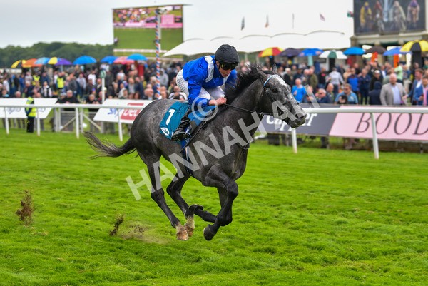190523-Race 5-Mostabshir-0910 - Race 5 4.10pm Darley Novice Stakes