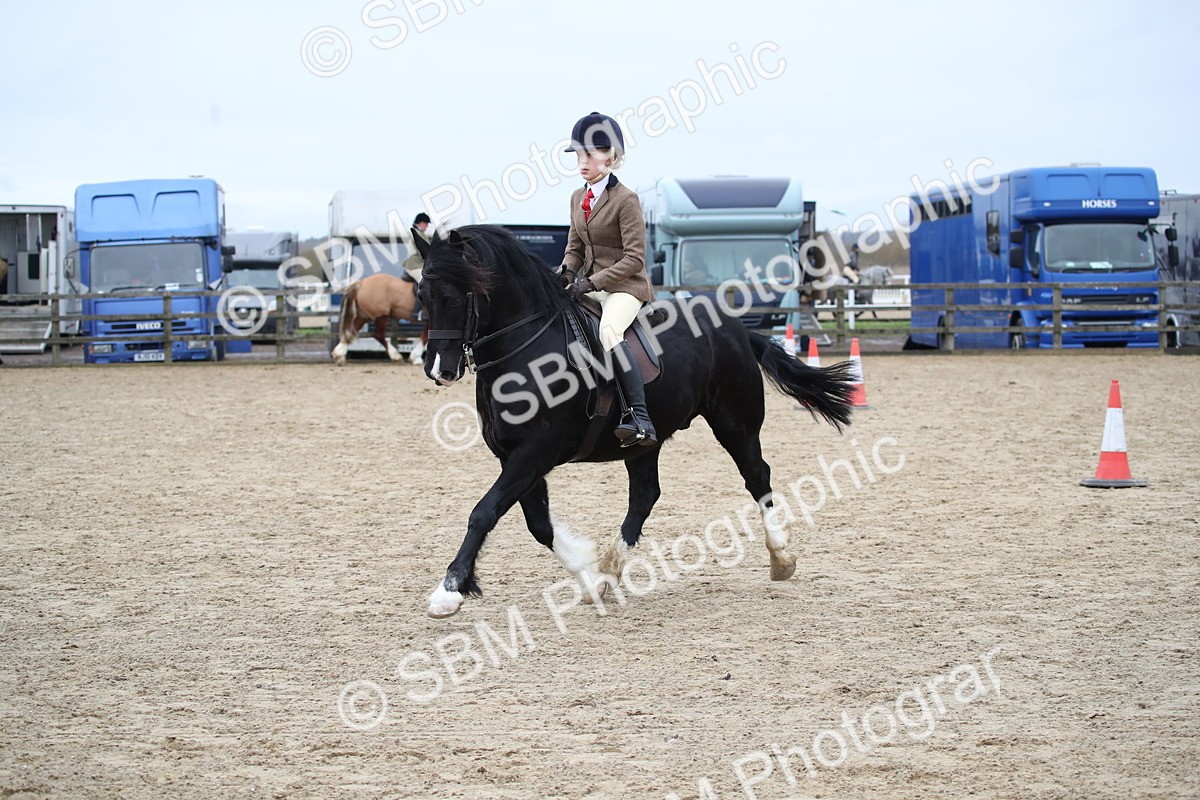 SBM_006129 - Class 10-13 - RIHS Small Large Breeds