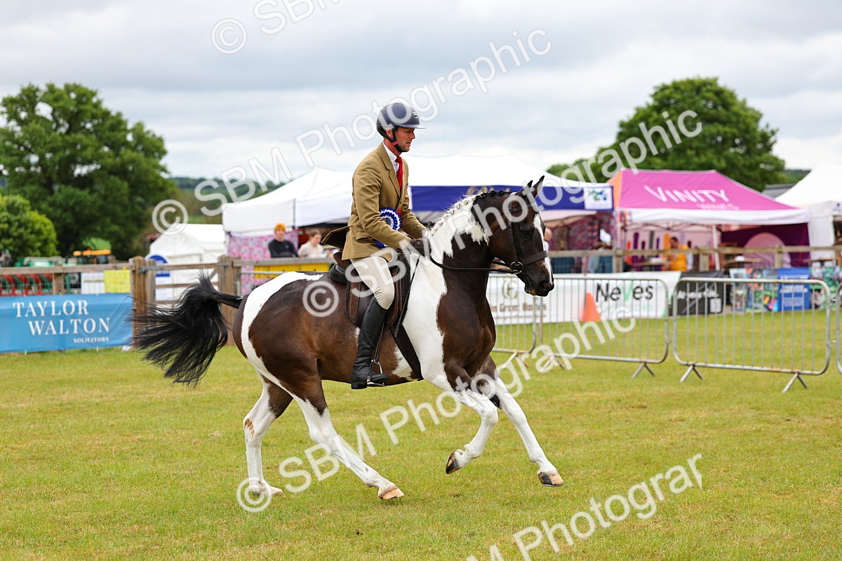 SBM_02675 - Class 9-11 Side Saddle including LIHS Rising Star Ladies Show Horse