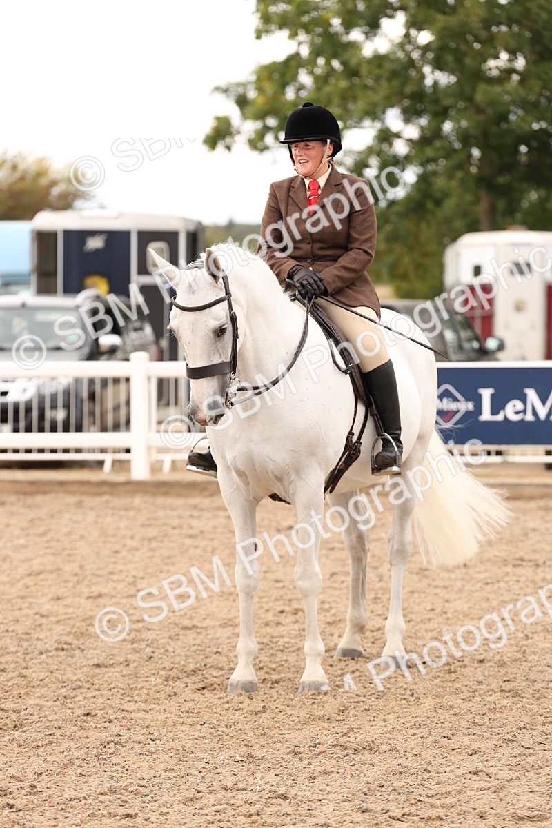 SBM_16509 - Class 212 - Ridden Hunter - Small