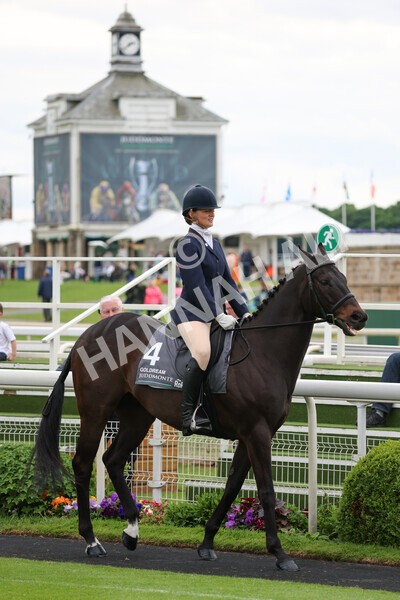 yr22052022r8e-92 - ROR - Parade Ring York
