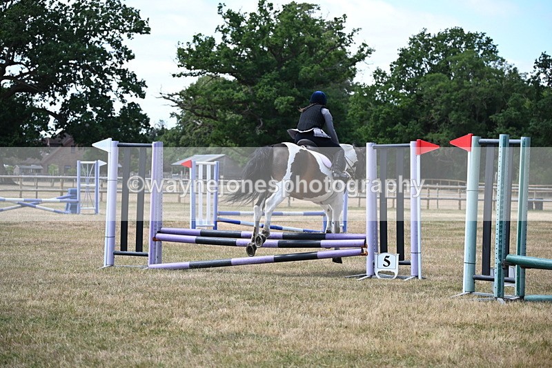WJ6_5784 - Class 13 Novice 60cm