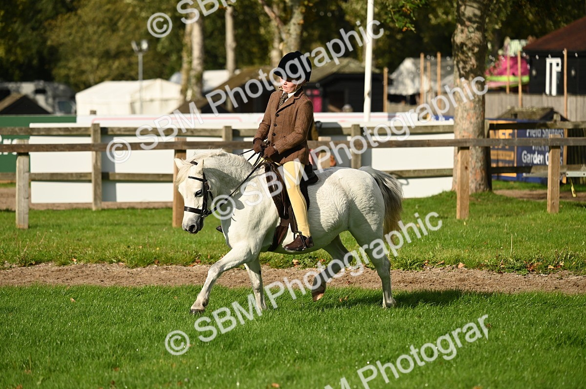 SBM_26647 - S7 - Novice & Newcomer Ridden Pony