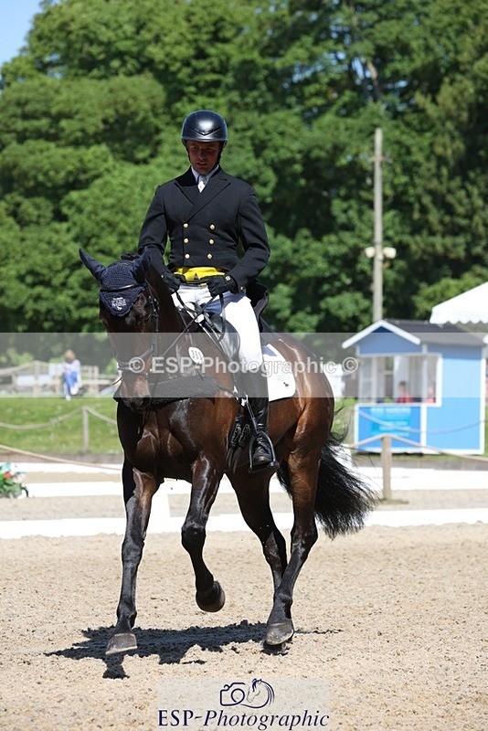 230526-103413-05283 - 362-SPIRIT'S_GEMINI-Harry_Dzenis-WEDTrotUp+DR