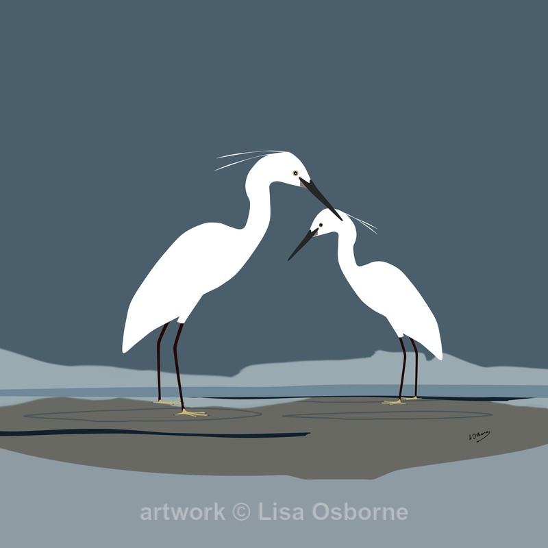Little egrets - DIGITAL ARTWORK