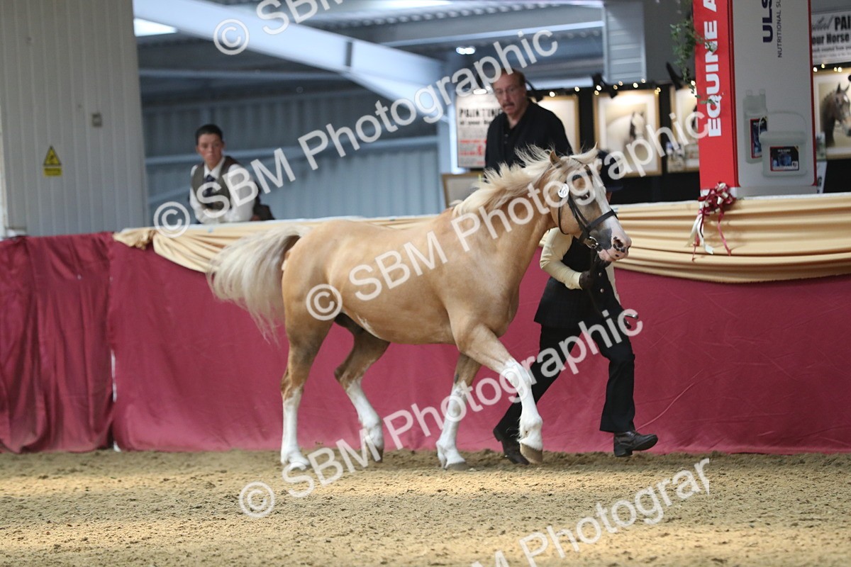 SBM_15234 - Class 501 M&M IH Supreme Final