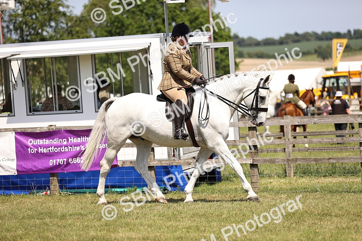 SBM_16208 - Class 79-80 - LIHS BSHA Rising Star Ridden Hunter