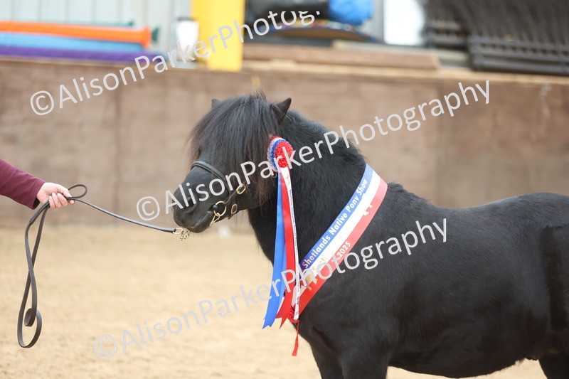 20251109-0133 - Championship