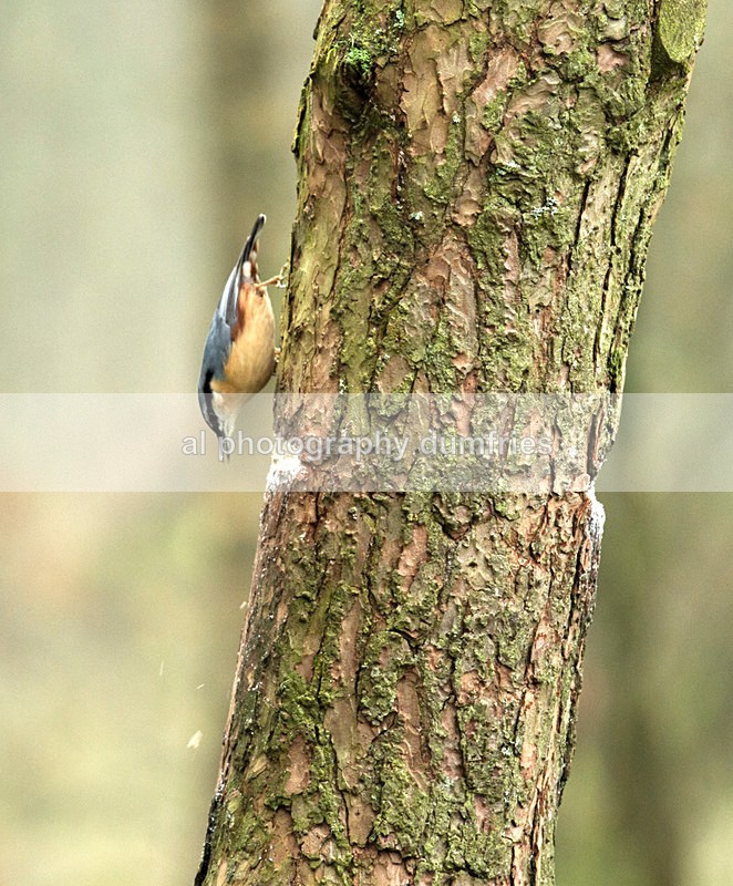  - Eskrigg Nature Reserve Lockerbie