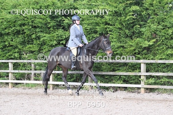 BPP_6950 - RING 1  (RIDDEN HORSES / IN HAND / VETERAN ETC)