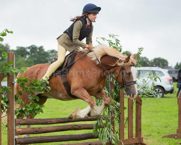 Dunblane show-427 - Dunblane and Doune Show Ring 1
