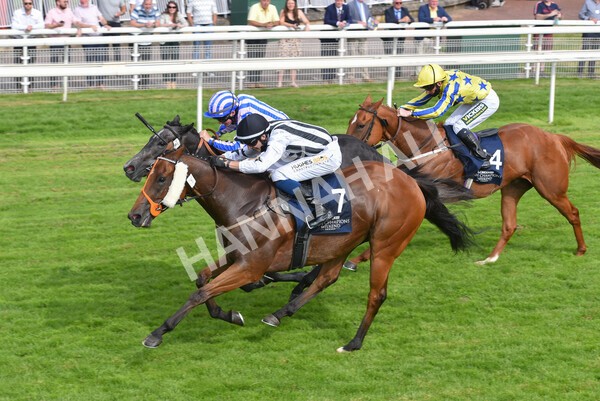 yr09072021r6-9 - Race 6 4.55pm Longines Irish Champions Weekend Stakes