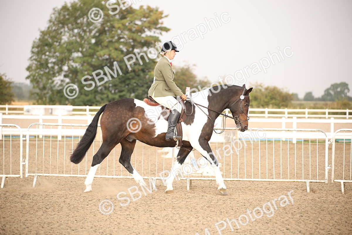 SBM_10201 - Class 402 Riding Club Horse