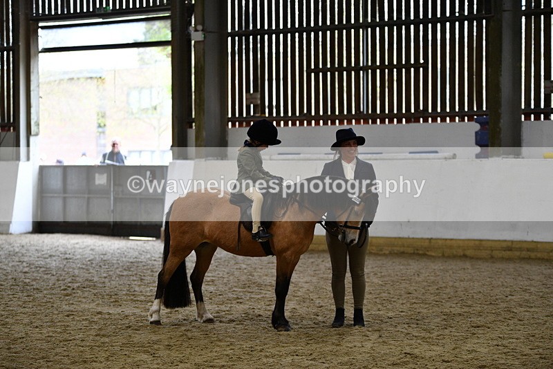 WJ5_6754 - Class 10 Childs Pony