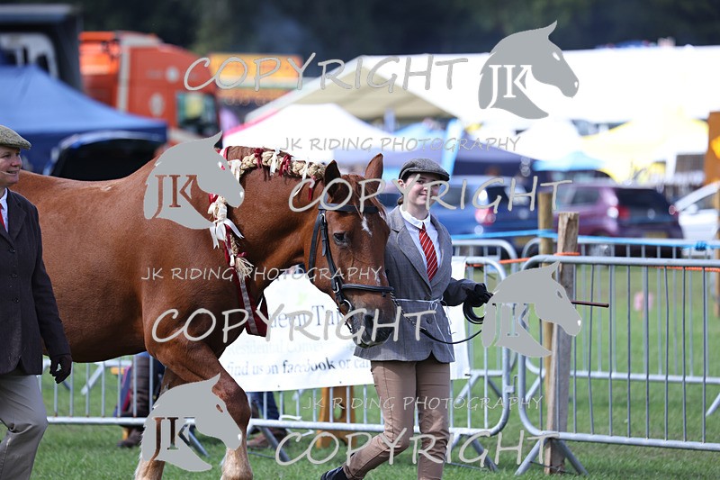 APP_3425 - Class 6 Young Handlers