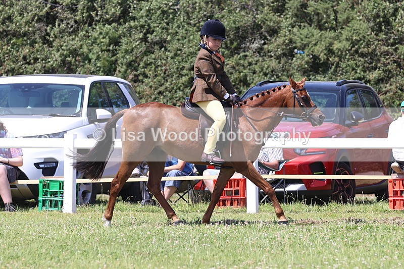 JPP_2362 - Class 20: Tiny Tots Working Hunter Pony
