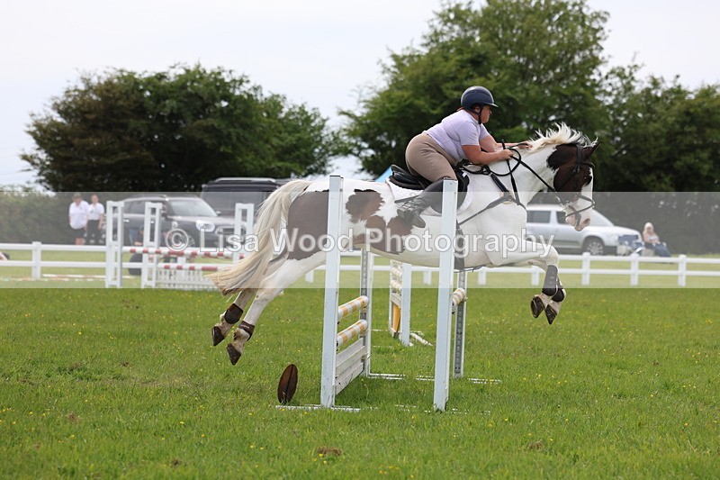 3E7A1686 - Class 13: Senior British Novice/90cm open