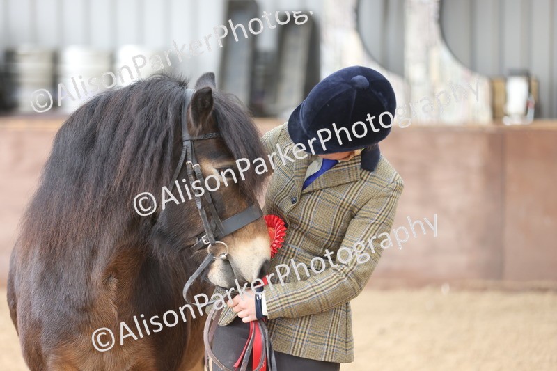 20251109-0675 - Class 22 - Geldings 4 Years and over