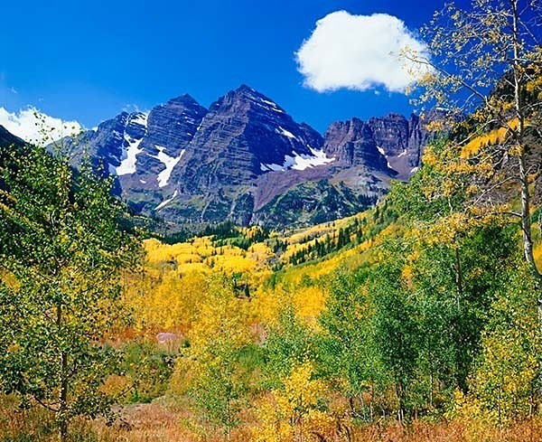 Istock  #13900219 - Autumn Colors all over North America